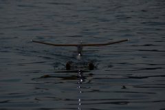 GIT-Agno-2010-08-01_20-47-16