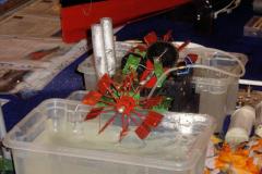 IMGP4426-_15_