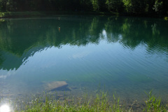 DSCN4520