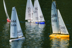 2024-Melano-14.04