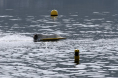 1741710636550