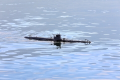 image00038