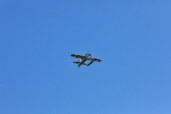 image00045